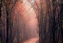 减持百万股后才宣布终止减持计划！万兴科技被疑释放“忽悠式”利好消息