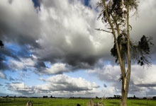 减持百万股后才宣布终止减持计划！万兴科技被疑释放“忽悠式”利好消息