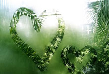 减持百万股后才宣布终止减持计划！万兴科技被疑释放“忽悠式”利好消息