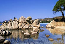 减持百万股后才宣布终止减持计划！万兴科技被疑释放“忽悠式”利好消息