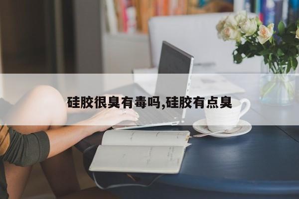 硅胶很臭有毒吗,硅胶有点臭