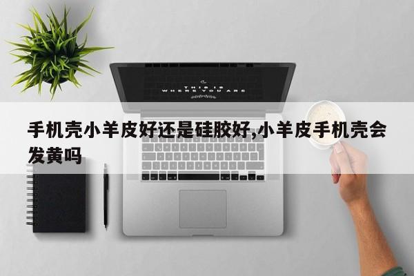 手机壳小羊皮好还是硅胶好,小羊皮手机壳会发黄吗