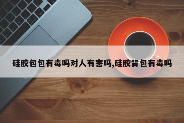硅胶包包有毒吗对人有害吗,硅胶背包有毒吗