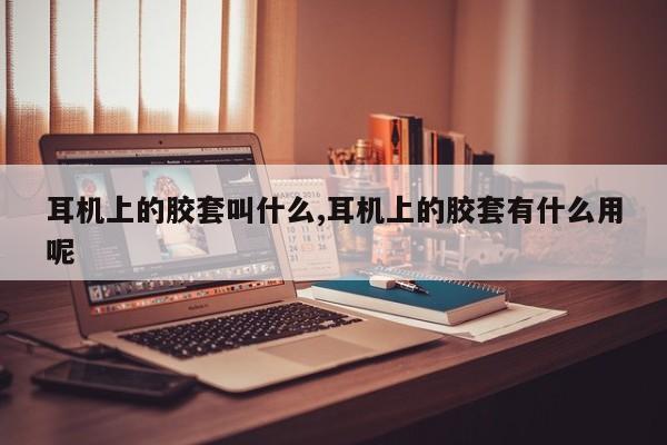 耳机上的胶套叫什么,耳机上的胶套有什么用呢