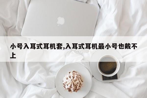 小号入耳式耳机套,入耳式耳机最小号也戴不上