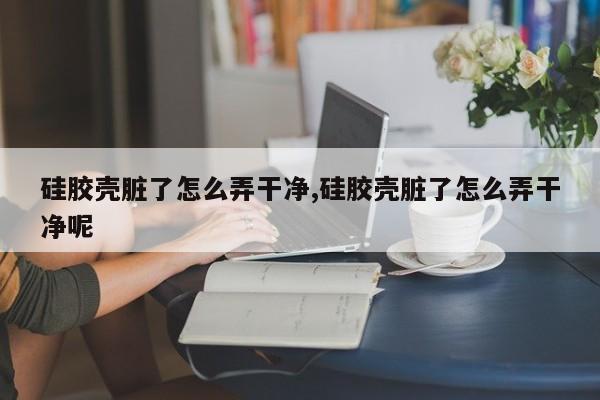 硅胶壳脏了怎么弄干净,硅胶壳脏了怎么弄干净呢